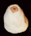 Clay one-eyed blob.