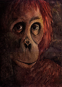 Watercolor of female Oran-utan.