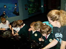 Exploring tide pool life at the museum